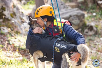 Sauvetage de chien